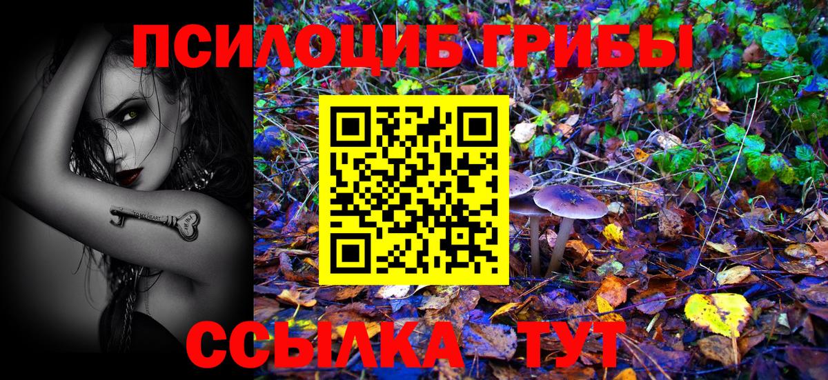 Новоалтайск  Галлюциногенные грибы Magic Shrooms  Вход с VPN 